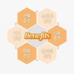 프론티어 비프 트라이프 동결건조 강아지 소고기 간식 : 펠리펫