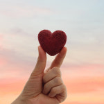 [정기구독] 알로키친 강아지 급성 만성 췌장염 사료 야채 퓨레 디톡스베지 그린 퍼플 옐로우 화이트 올인원포크 90개입 : 알로키친