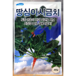 땅심이시금치 40g : 중앙종묘농약사