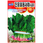 진흥월동재래시금치 20g 25년 : 중앙종묘농약사