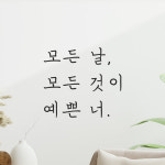 인테리어 포인트 손글씨 레터링 스티커 모든 날 모든 것이 예쁜 너 LH-075S 검정 : 모노먼트