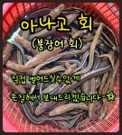 통영 제철 자연산 아나고회 붕장어회 아나고세꼬시 아나고덮밥 활장어회 힘불끈 붕장어회 : 통영 해물세상