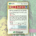 CR여름엇갈이배추씨앗 3000립 한국대농종묘 씨앗 종자 : 대농종묘