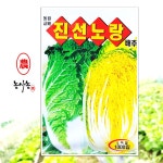 텃밭 농사 주말농장 가을 속노란 청방 김장배추 김치 종자 씨앗 진선노량배추 1000립 : 농사농