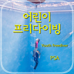 유스프리다이빙 : 세종프리다이빙