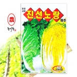 텃밭 농사 주말농장 가을 속노란 청방 김장배추 김치 종자 씨앗 진선노량배추 1000립 : 농사농