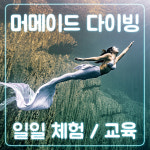 머메이드 다이빙 일일체험 강습 서울 잠실 수원 PADI 프리다이빙 : 고고다이브 스쿠버프리다이빙