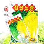 텃밭 농사 주말농장 가을 속노란 청방 김장배추 김치 종자 씨앗 진선노량배추 1000립 : 농사농