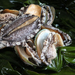 [바다농장] 완도 전복 특특대 6-7미 1kg : 바다농장 완도전복