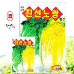 텃밭 농사 주말농장 가을 속노란 청방 김장배추 김치 종자 씨앗 진선노량배추 1000립 : 농사농
