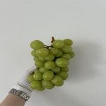 샤인머스켓  망고포도 고당도 프리미엄  실속2kg 백점과일 : 대구백점과일