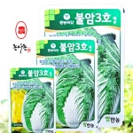 텃밭농사 가을 김장 종자 불암3호 배추 씨앗 1000립 : 농사농