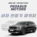 부산 자동차썬팅 재시공 출장 픽업 광택 실내크리닝 사상구 사하구 : 페가수스모터스