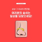 파이라이프 윙스 프라임 리필테이프 60매 : 다우리건강