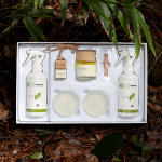 피톤치드수 프리미엄 세트 : 제주황금나무