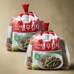 종가집열무김치 종갓집열무김치 2.5kg 2개 국내산100% 시원하고 아삭함 : 넷카트
