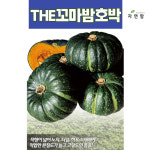 THE꼬마밤호박씨앗 5립 : 자연팜natureFarm