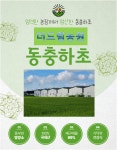 더드림농원 100%국산 동충하초차 (1.2gX30티백36g) : 더드림농원 동충하초