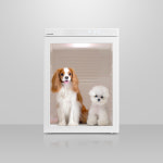 [렌탈] 붐펫 펫드라이룸 로투스 k200 펫가전 소형 중형 강아지 고양이 에어샤워 : 붐펫 렌탈스토어