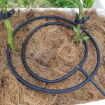 100M 블루베리 점적호스 점적관수 화분 농업용 자재 (내경4mm 외경 8mm) : 가온쇼핑21