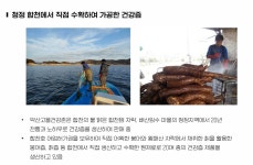 흑염소즙 국내산 원액 액기스 약산골 자연산 흑염소즙 : 약산고을건강촌