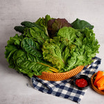 클로렐라 무농약 친환경 프리미엄 모둠 쌈채소 쌈야채 상추 600g, 1kg : 한경
