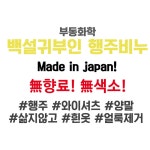 일본 백설귀부인 행주비누 10개 와이셔츠 흰옷 옷깃 소매 세탁 비누 : 자취몰 바른식판