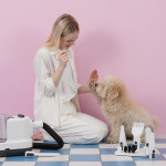 세븐펫 진공미용기+드라이기 2in1 강아지 고양이 이발 에어살롱 펫스타일러 : 세븐펫