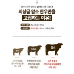 한우수라 암소한우 양지 300g (덩어리) : 홍천한우수라