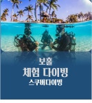 [보홀 체험다이빙] 보홀스쿠버다이빙,(사진 및 영상) : 봄봄투어