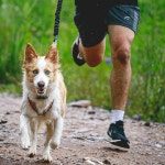 라파402 VIP(3대) 퇴행성관절염 통증치료기 저출력레이저조사기 라파메디칼 의료기기 : 하이리빙몰