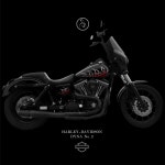 HARLEY DAVIDSON DYNA No.2 스믈크루 불꽃데칼 할리 다이나 : 스믈크루