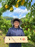 경산 예원농장 새콤달콤 신비복숭아 신선복숭아 : 예원 농장