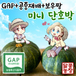 달콩농장 GAP인증 공중재배 보우짱 미니 밤호박 단호박 1kg,2kg,3kg5kg7kg : 달콩농장