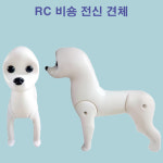RC 비숑위그 비숑견체 애견미용 실습용 전신견체 도그위그 : 애견용품시장