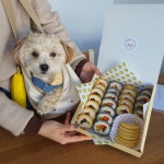 잘먹었개 강아지수제간식만들기 원데이클래스 : 잘먹었개