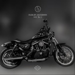 HARLEY DAVIDSON 883 No.1 스믈크루 불꽃데칼 할리 883 : 스믈크루