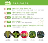 순수 천연비료 바이오테크 부엽토 천연부엽토 태흥 20kg : 진천팜 농자재 마트