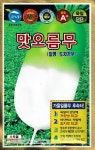 김장무씨앗 종자 맛오름무씨앗 무우씨 도자기무 1000립 가을 : 다판다농부