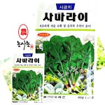 농사농 노균병 강한 종자 봄 가을시금치 사마라이 씨앗 40g : 농사농
