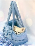 포펫츠온리 Winter Bag Blue Sugar : 헤이도그 송도본점
