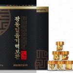 광동일품기력보환 광동 침향단 황제 부모님 건강선물세트 효과 : 무무플러스