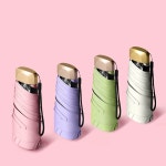 일본 고급 백화점 자외선 차단 암막 2단 초경량 미니 양산 : 리빙브런치