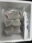 달고 부드러운 홍 무화가 승정도후인 500g 1kg 2kg 3kg : 프레시부전