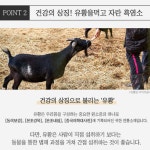 김소영 흑염소진액 성장기 청소년 흑염소 식육추출가공품 : 비앤엠스토어