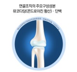 연골 관절 건강 콘드로이친 소연골유래 뮤코다당단백1200 : 해다2024