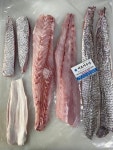 당일 생물 자연산 민어 2kg~10kg이상 민어회 부레 민어매운탕 껍질 : 어르미유통