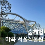 [숲체험] 마곡 서울식물원 힐링 숲체험 / 깨비의 숲마을과 함께 떠나요 : 깨비의숲마을