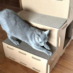 네이처펫 계단형 스텝 스크래처 하우스 : 네이처펫-naturepet