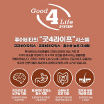 퓨어비타 캣 앙트레 고양이 습식 주식 캔 칠면조.연어.닭고기, 156g, 12개 : 젤리펫샵